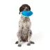 Joyhound® Game On Active Football Squeaker Dog Toy image thumbnail 3