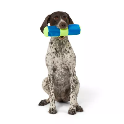 Product Joyhound Game On Active Crinkle Bottle Dog Toy