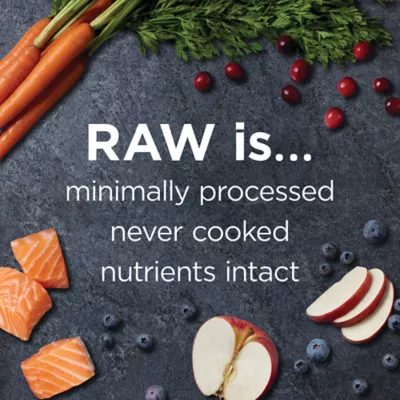 Product Instinct® Raw Boost Kibble + Freeze-Dried Raw All Life Stages Dry Dog Food - Raw, Grain Free, Salmon