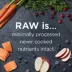 Instinct® Raw Boost Kibble + Freeze-Dried Raw All Life Stages Dry Dog Food - Raw, Grain Free, Salmon image thumbnail 4