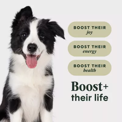 Instinct® RawBoost Whole Grain Kibble + Freeze-Dried Raw Puppy Dry Dog Food - Chicken & Brown Rice - Image 5