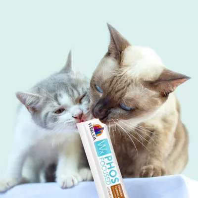 Product Weruva WX Lickable Cat Treats - Phos Focused, Puree, 5 CT, 2.5 OZ