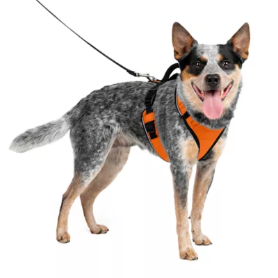 PetSafe® EasySport Nylon Reflective Dog Harness - Image 1