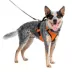 PetSafe® EasySport Nylon Reflective Dog Harness image thumbnail 1