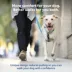 PetSafe® Easy Walk Dog Harness, Comfort Harness, No Pull, Premium Foam, Multiple Sizes & Colors image thumbnail 2