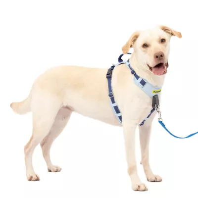 PetSafe® Easy Walk Dog Harness, Comfort Harness, No Pull, Premium Foam, Multiple Sizes & Colors - Image 1