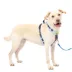 PetSafe® Easy Walk Dog Harness, Comfort Harness, No Pull, Premium Foam, Multiple Sizes & Colors image thumbnail 1