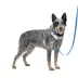 PetSafe® Easy Walk Dog Harness, Comfort Harness, No Pull, Premium Foam, Multiple Sizes & Colors image thumbnail 1