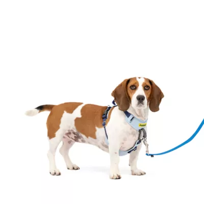 PetSafe® Easy Walk Dog Harness, Comfort Harness, No Pull, Premium Foam, Multiple Sizes & Colors - Image 1