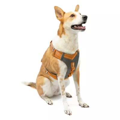 Product Kurgo® Journey Air Dog Harness