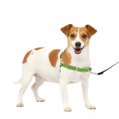 PetSafe® Easy Walk Dog Harness, No Pull Dog Harness, Multiple Sizes & Colors - Image 1