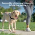 PetSafe® Easy Walk Dog Harness, No Pull Dog Harness, Multiple Sizes & Colors image thumbnail 2