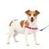 PetSafe® Easy Walk Dog Harness, No Pull Dog Harness, Multiple Sizes & Colors image thumbnail 1