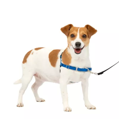 PetSafe® Easy Walk Dog Harness, No Pull Dog Harness, Multiple Sizes & Colors - Image 1