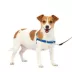 PetSafe® Easy Walk Dog Harness, No Pull Dog Harness, Multiple Sizes & Colors image thumbnail 1