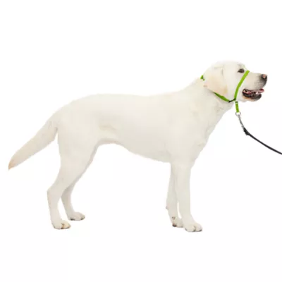 PetSafe® Gentle Leader Nylon Dog Headcollar - Image 1