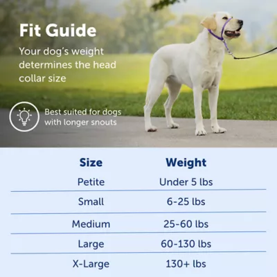 PetSafe® Gentle Leader Nylon Dog Headcollar - Image 5