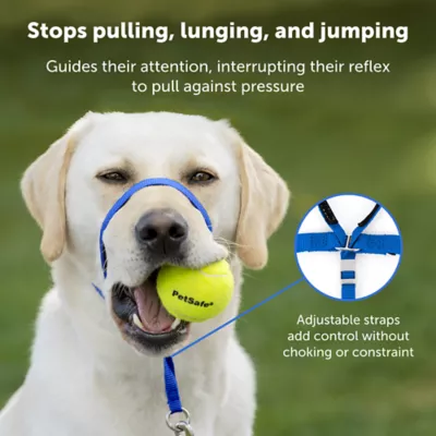 PetSafe® Gentle Leader Nylon Dog Headcollar - Image 3