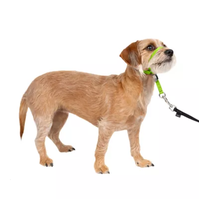 Product PetSafe® Gentle Leader Nylon Dog Headcollar