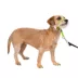 PetSafe® Gentle Leader Nylon Dog Headcollar image thumbnail 1