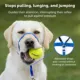 Product PetSafe® Gentle Leader Nylon Dog Headcollar