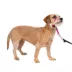 PetSafe® Gentle Leader Nylon Dog Headcollar image thumbnail 1
