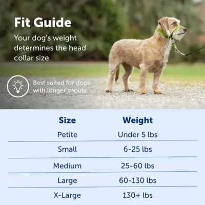 Product PetSafe® Gentle Leader Nylon Dog Headcollar