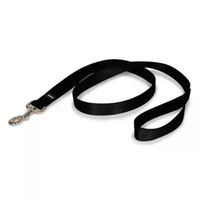 PetSafe® Nylon Dog Leash, 4 Ft - Image 1