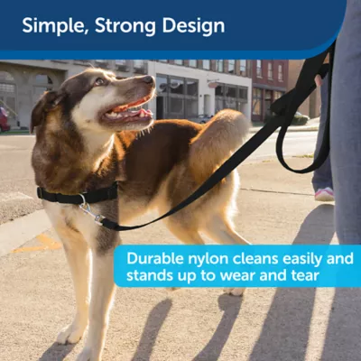 PetSafe® Nylon Dog Leash, 4 Ft - Image 4