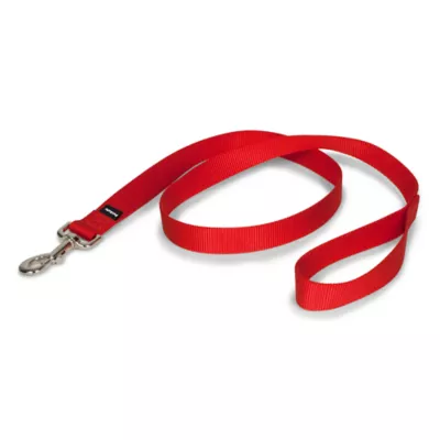 PetSafe® Nylon Dog Leash, 4 Ft - Image 1