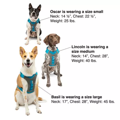 Product Kurgo Journey Air Dog Harness