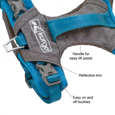 Kurgo® Journey Air Dog Harness - Image 4