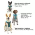 Kurgo® Journey Air Dog Harness image thumbnail 8