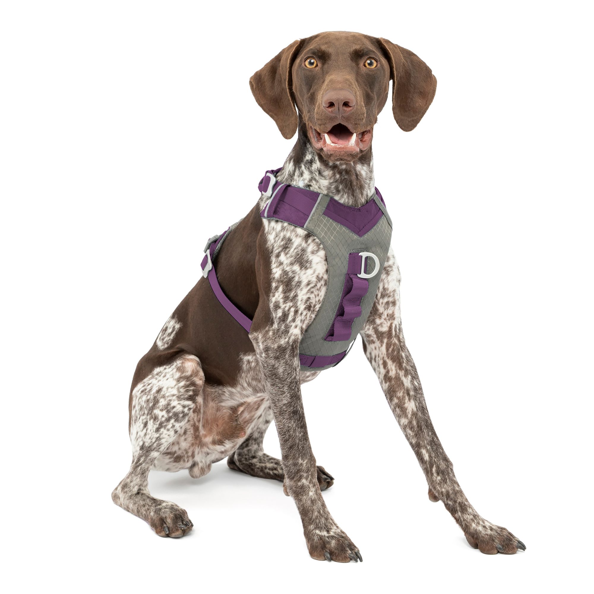 Kurgo Arnés para perros activos grandes, medianos y pequeños Arnés p