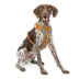 Kurgo® Journey Air Dog Harness image thumbnail 1