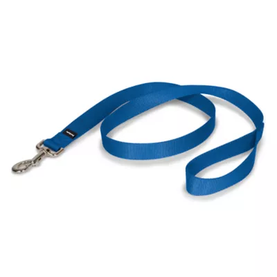 PetSafe® Nylon Dog Leash, 4 Ft - Image 1
