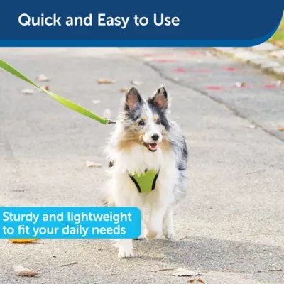 PetSafe®  Nylon Dog Leash, 6 Ft - Image 3