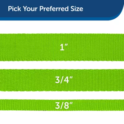 PetSafe®  Nylon Dog Leash, 6 Ft - Image 5