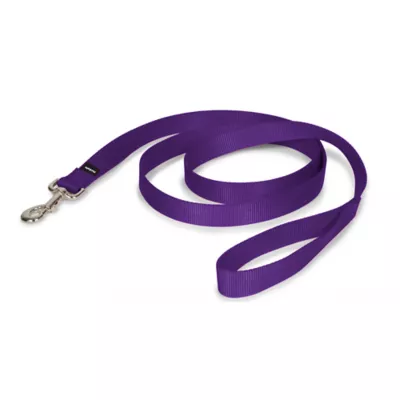 PetSafe®  Nylon Dog Leash, 6 Ft - Image 1