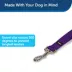 PetSafe®  Nylon Dog Leash, 6 Ft image thumbnail 2
