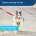 PetSafe®  Nylon Dog Leash, 6 Ft image thumbnail 3