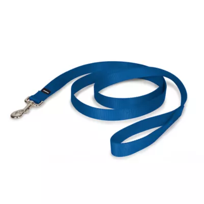 PetSafe®  Nylon Dog Leash, 6 Ft - Image 1