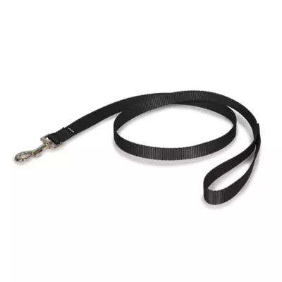 PetSafe® Nylon Dog Leash, 4 Ft - Image 1