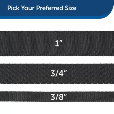 PetSafe® Nylon Dog Leash, 4 Ft - Image 5