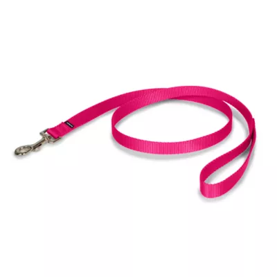 PetSafe® Nylon Dog Leash, 4 Ft - Image 1