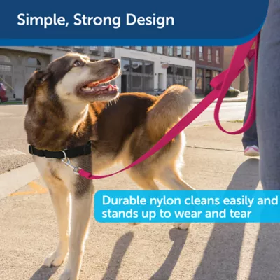 PetSafe® Nylon Dog Leash, 4 Ft - Image 4