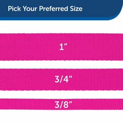 PetSafe® Nylon Dog Leash, 4 Ft - Image 5