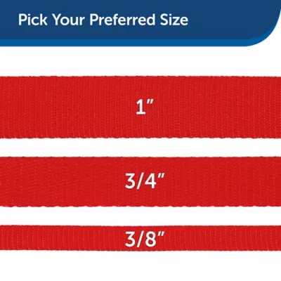 Product PetSafe® Nylon Dog Leash, 4 Ft