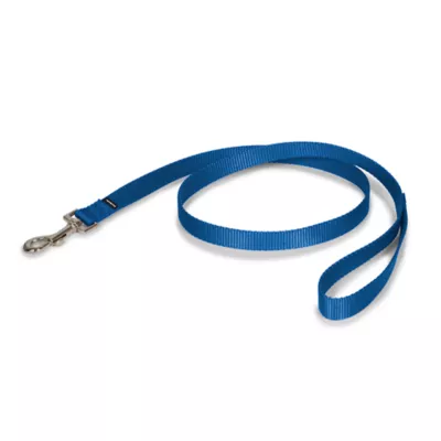 Product PetSafe® Nylon Dog Leash