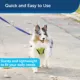 Product PetSafe® Nylon Dog Leash